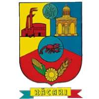 Logo of Primăria Răcari