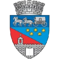 Logo of Primăria Râmnicu Vâlcea