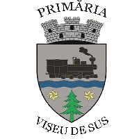 Logo of Primăria Vișeu De Sus