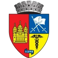 Logo of Primăria Teiuș