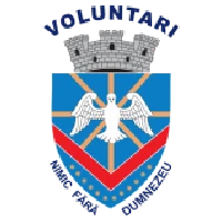 Logo of Primăria Voluntari