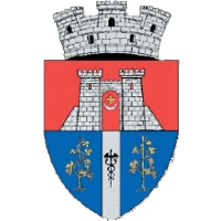 Logo of Primăria Pâncota