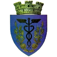 Logo of Primăria Țăndărei