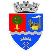 Logo of Primăria Ștei