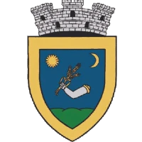 Logo of Primăria Valea Lui Mihai