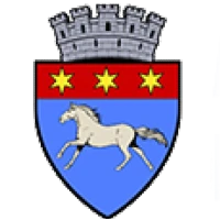 Logo of Primăria Râmnicu Sărat