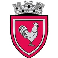 Logo of Primăria Dragomirești