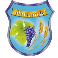 Logo of Primăria Teremia Mare