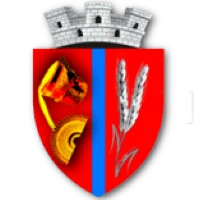 Logo of Primăria Călan