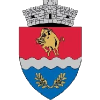 Logo of Primăria Chevereșu Mare