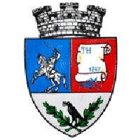 Logo of Primăria Hațeg