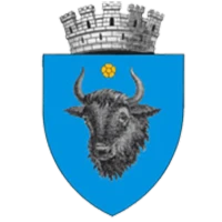 Logo of Primăria Sighetu Marmației